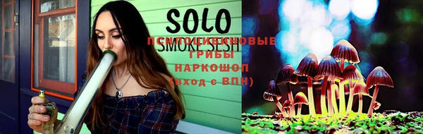 сатива Осинники