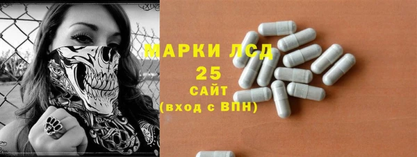 ешки Аркадак