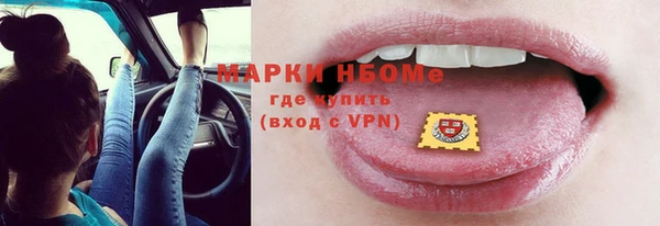 ПСИЛОЦИБИНОВЫЕ ГРИБЫ Баксан