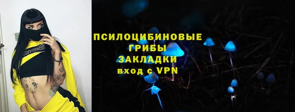 прущие грибы Арсеньев