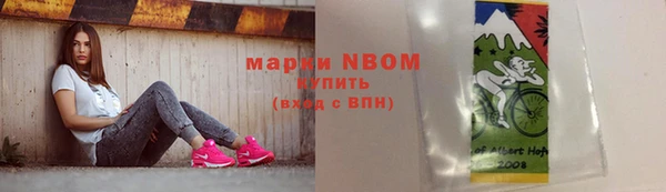 ешки Аркадак