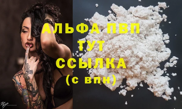 прущие грибы Арсеньев