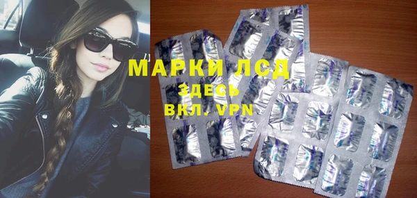 ешки Аркадак