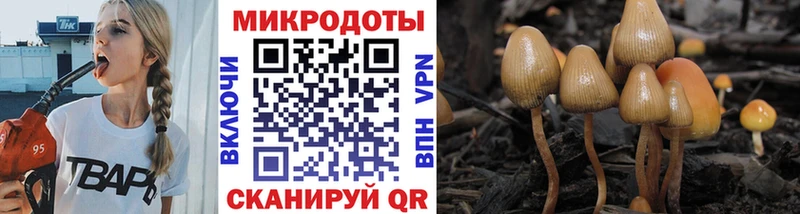 Псилоцибиновые грибы Psilocybe  закладка  Коряжма 